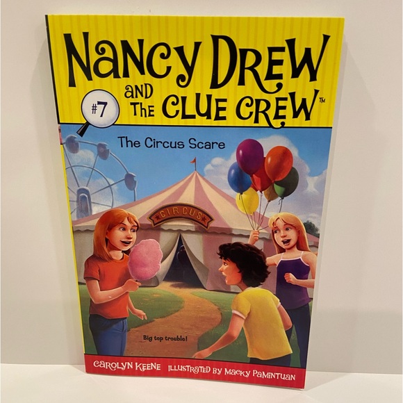 *New* Nancy Drew & The Clue Crew, Bundle of 8 soft cover books - Picture 14 of 16